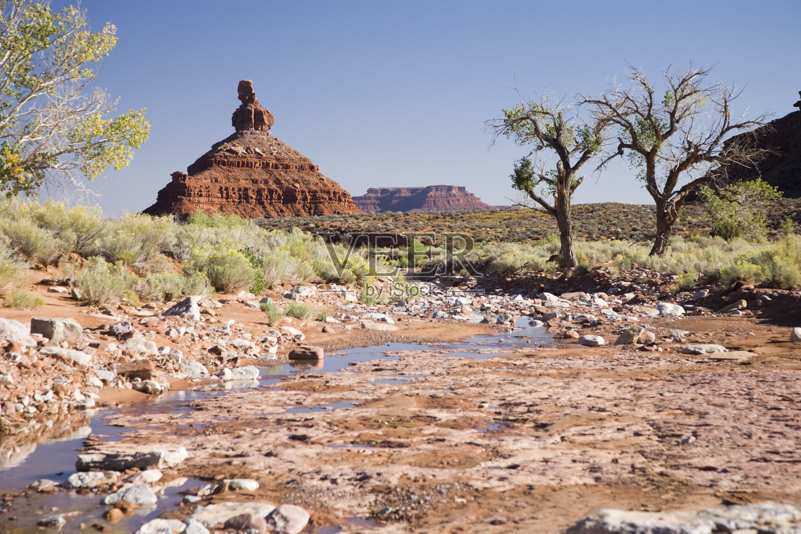 设置母鸡孤峰照片摄影图片