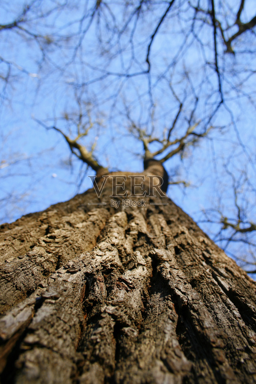 高照片摄影图片