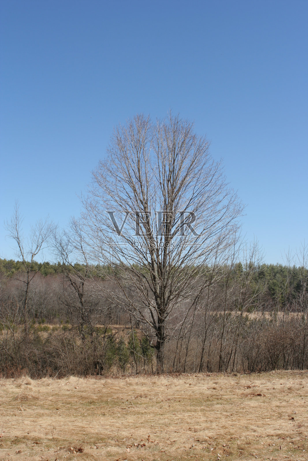 农村景观照片摄影图片