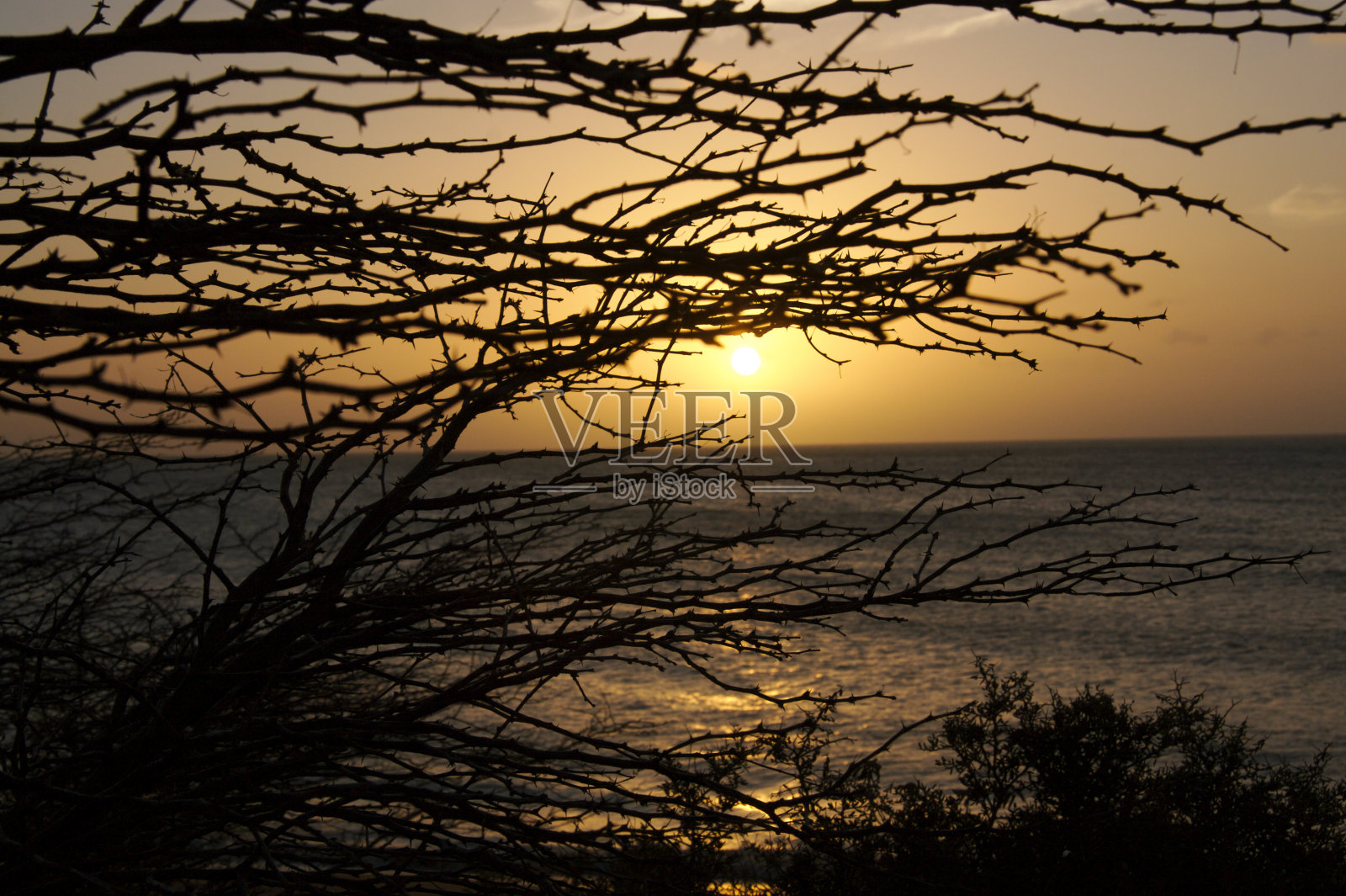 日落猎鹰照片摄影图片