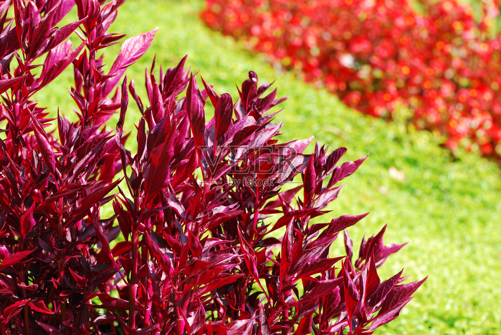 秋天的颜色照片摄影图片