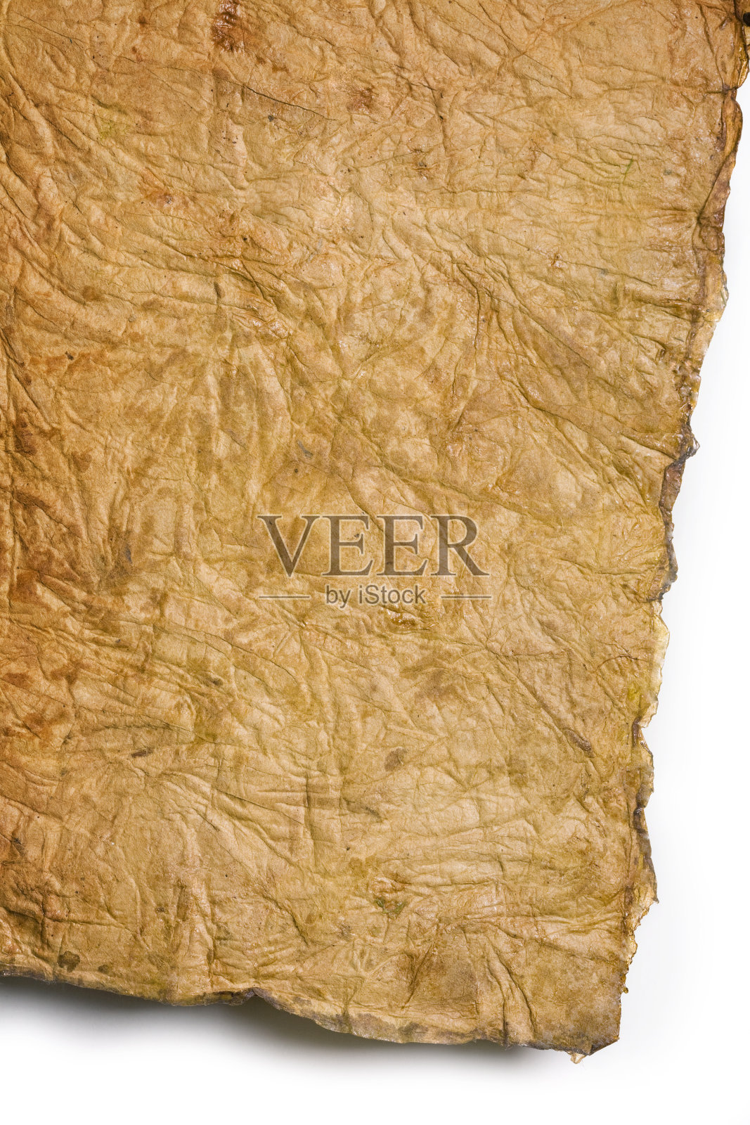 古老的纸照片摄影图片