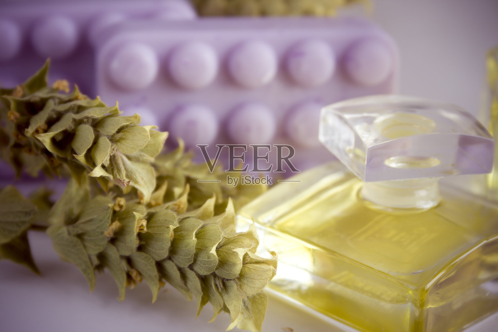 作文草照片摄影图片