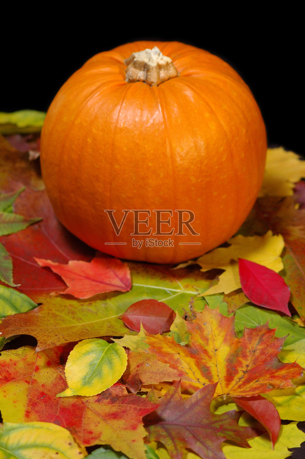 落叶和南瓜照片摄影图片