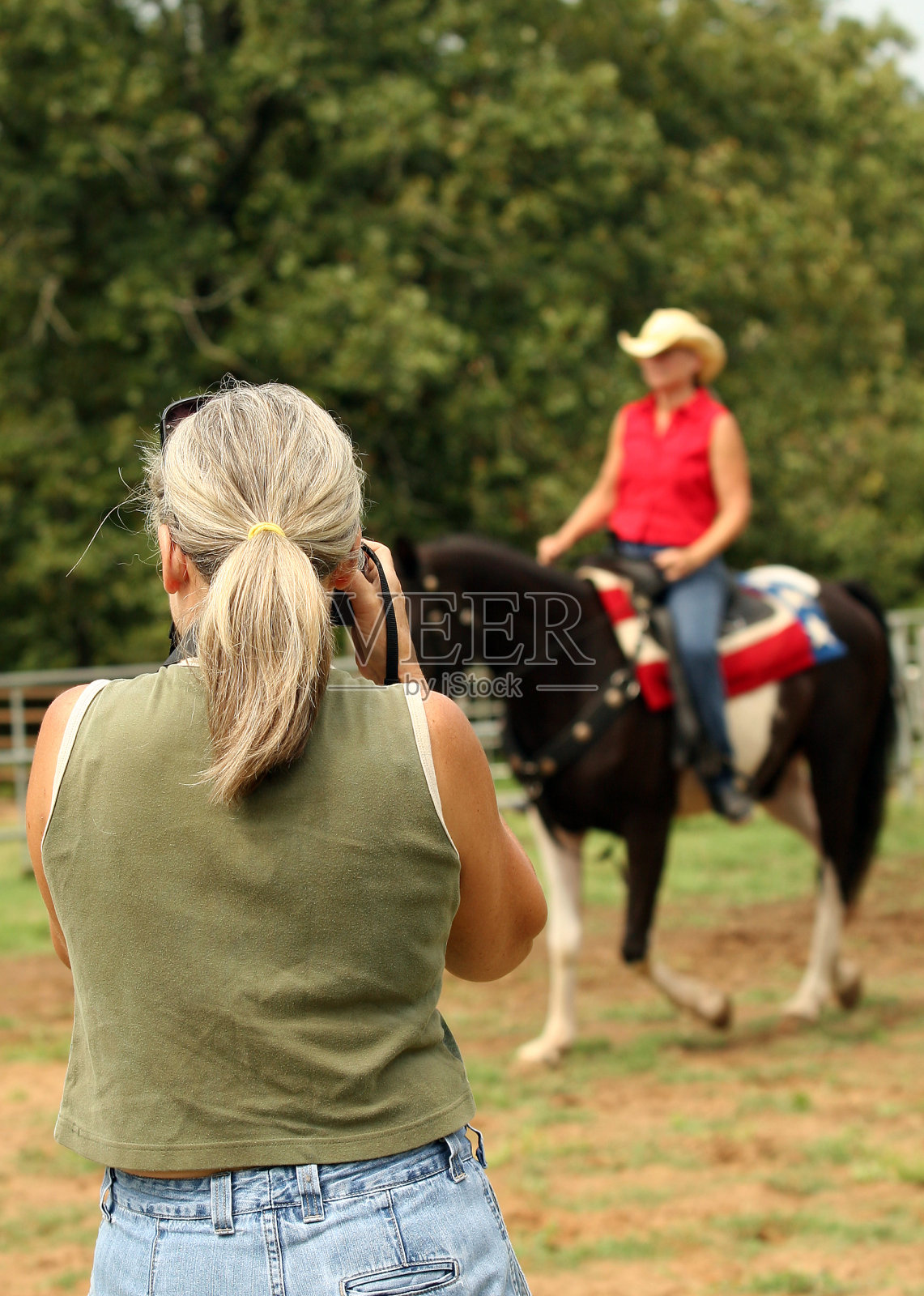 马摄影工作照片摄影图片
