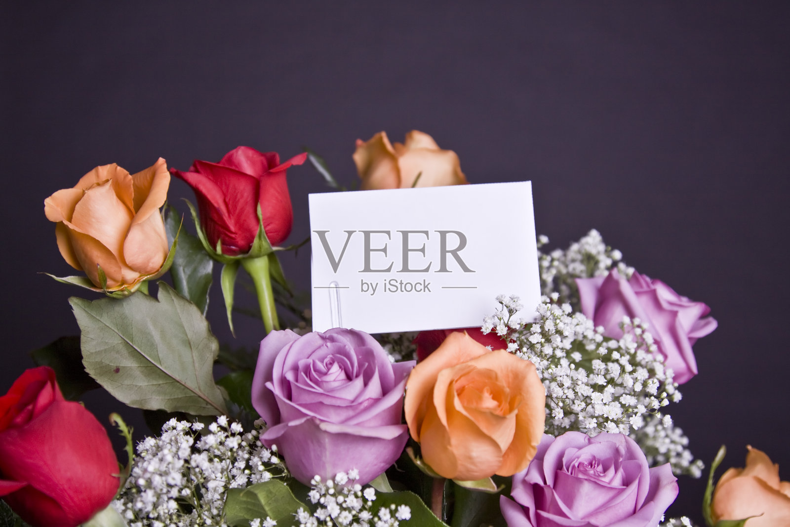 束玫瑰照片摄影图片