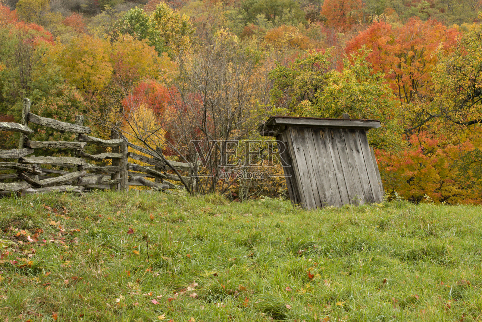 秋山斜茅屋照片摄影图片