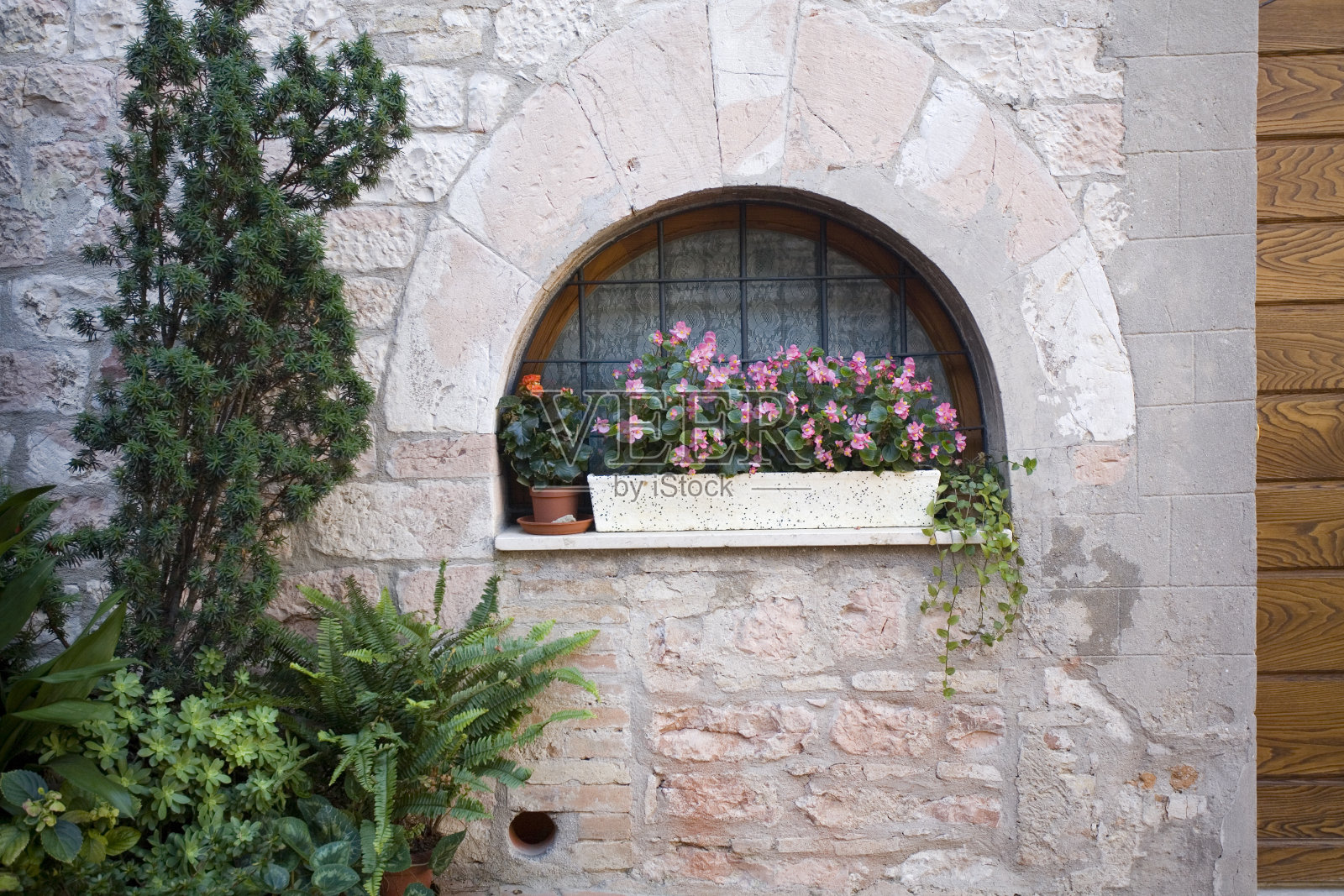 方济的展览会照片摄影图片