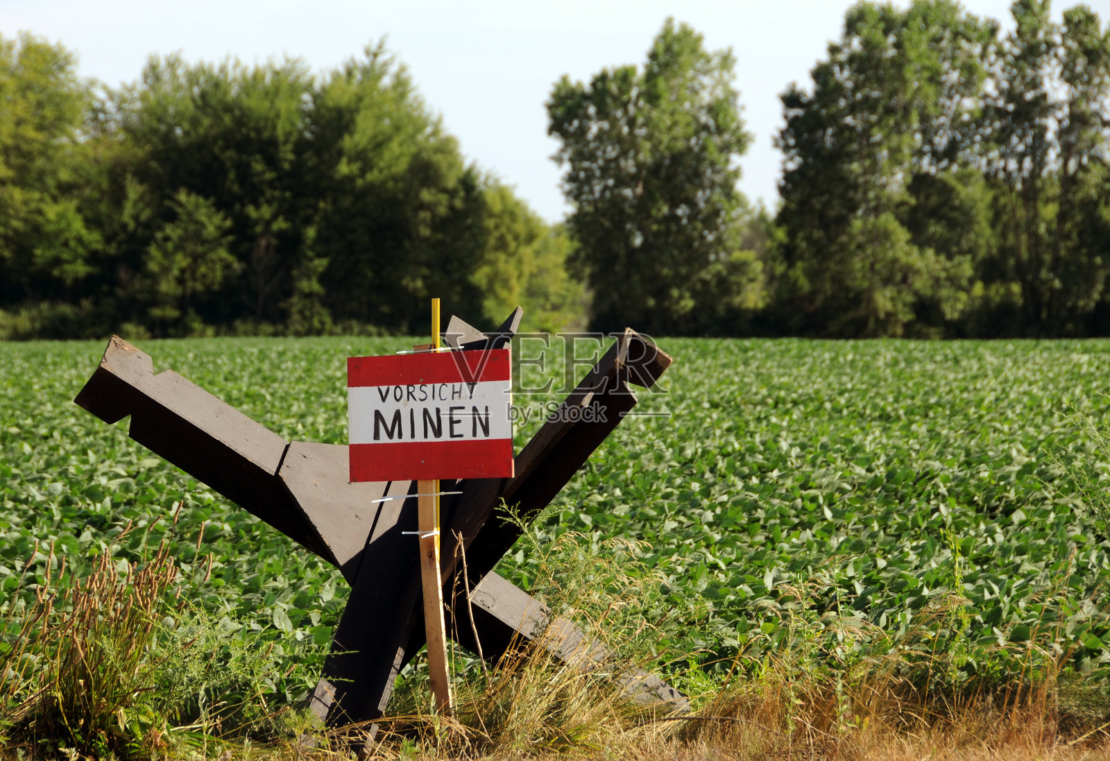 我的领域照片摄影图片