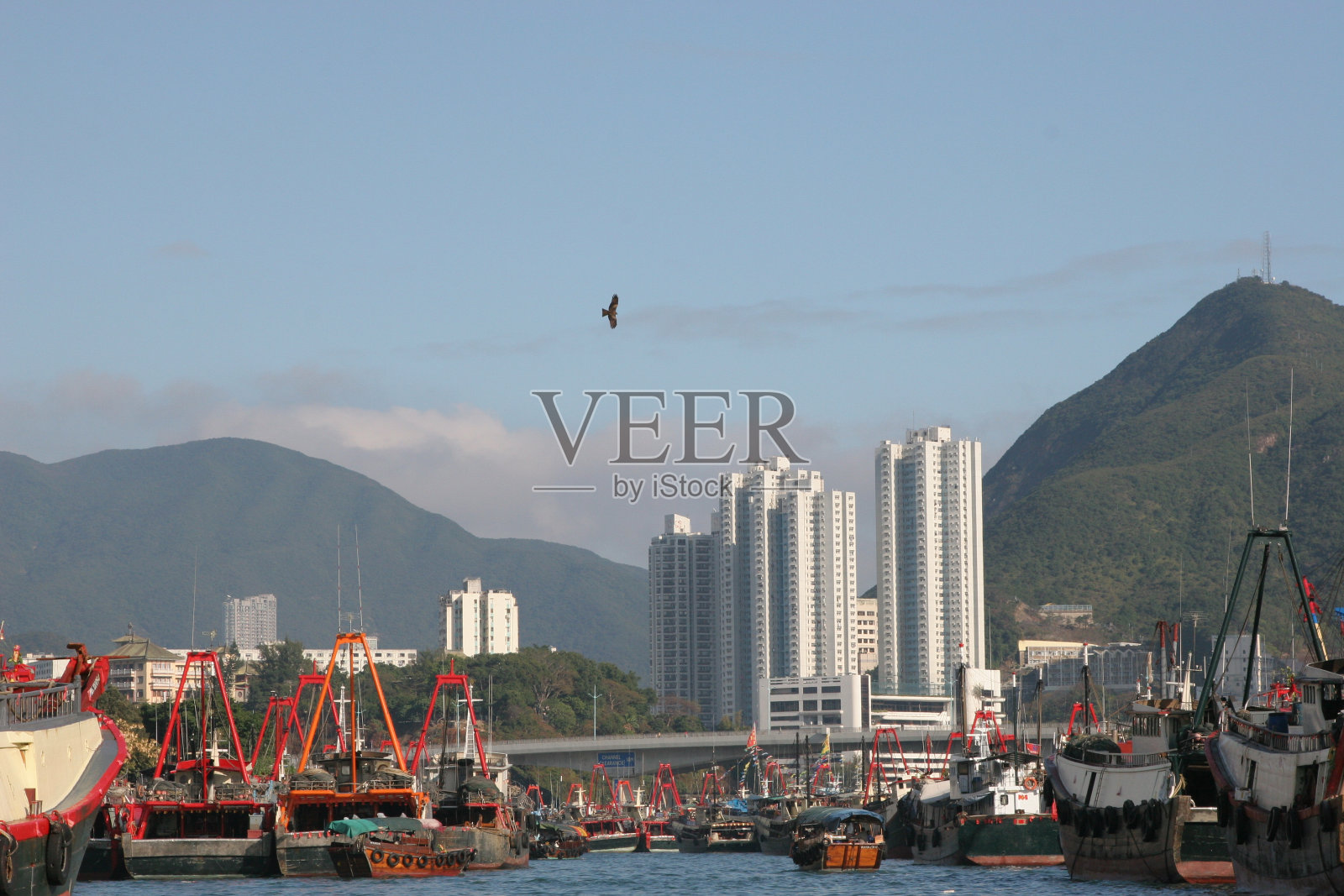 香港的海景照片摄影图片