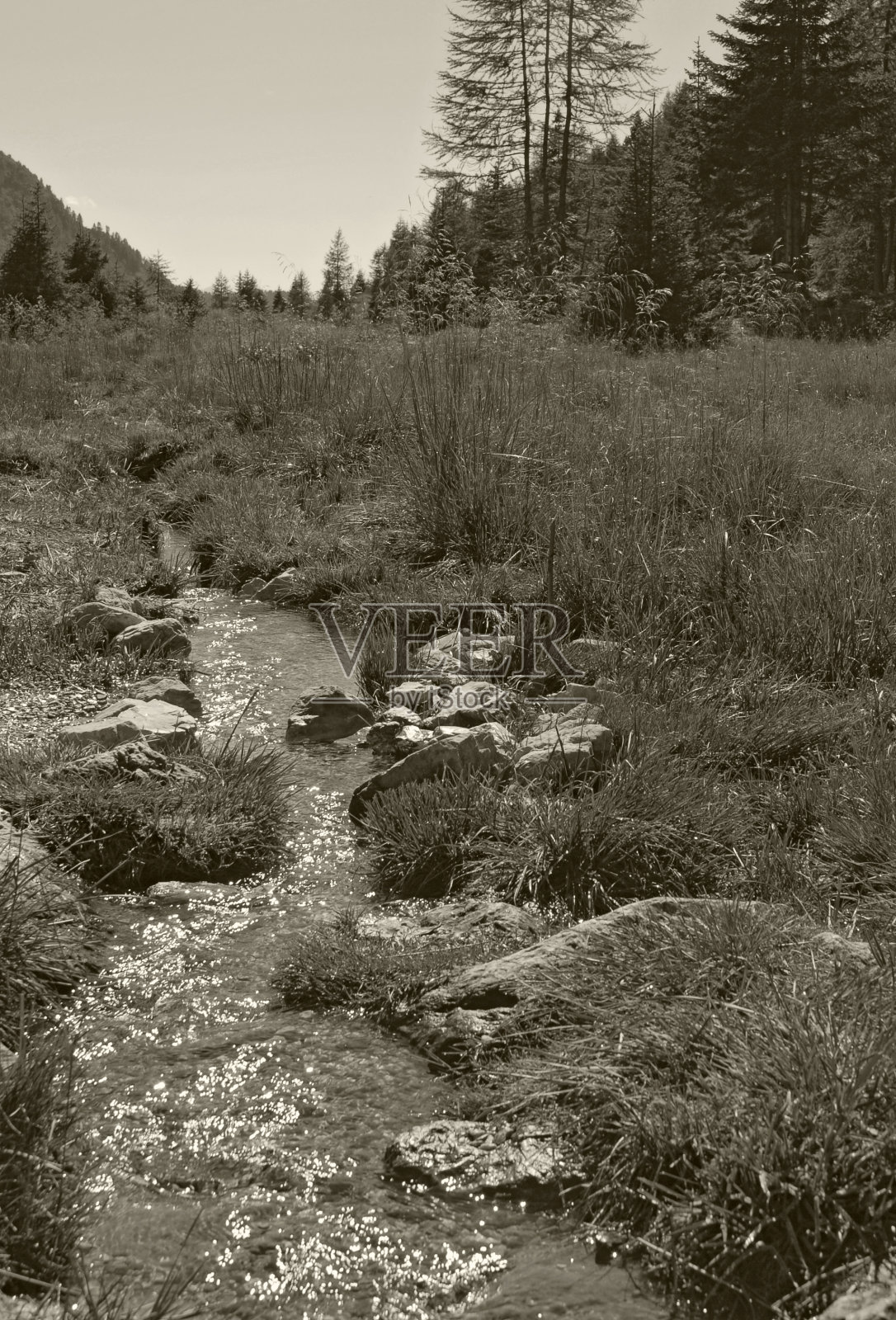 高山流照片摄影图片