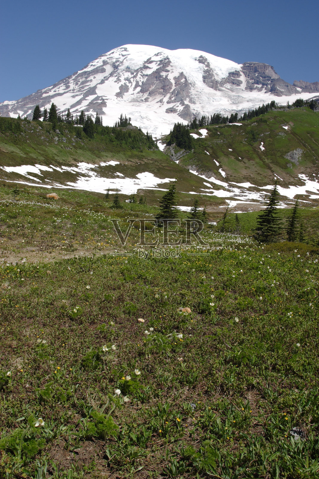 雷尼尔山照片摄影图片