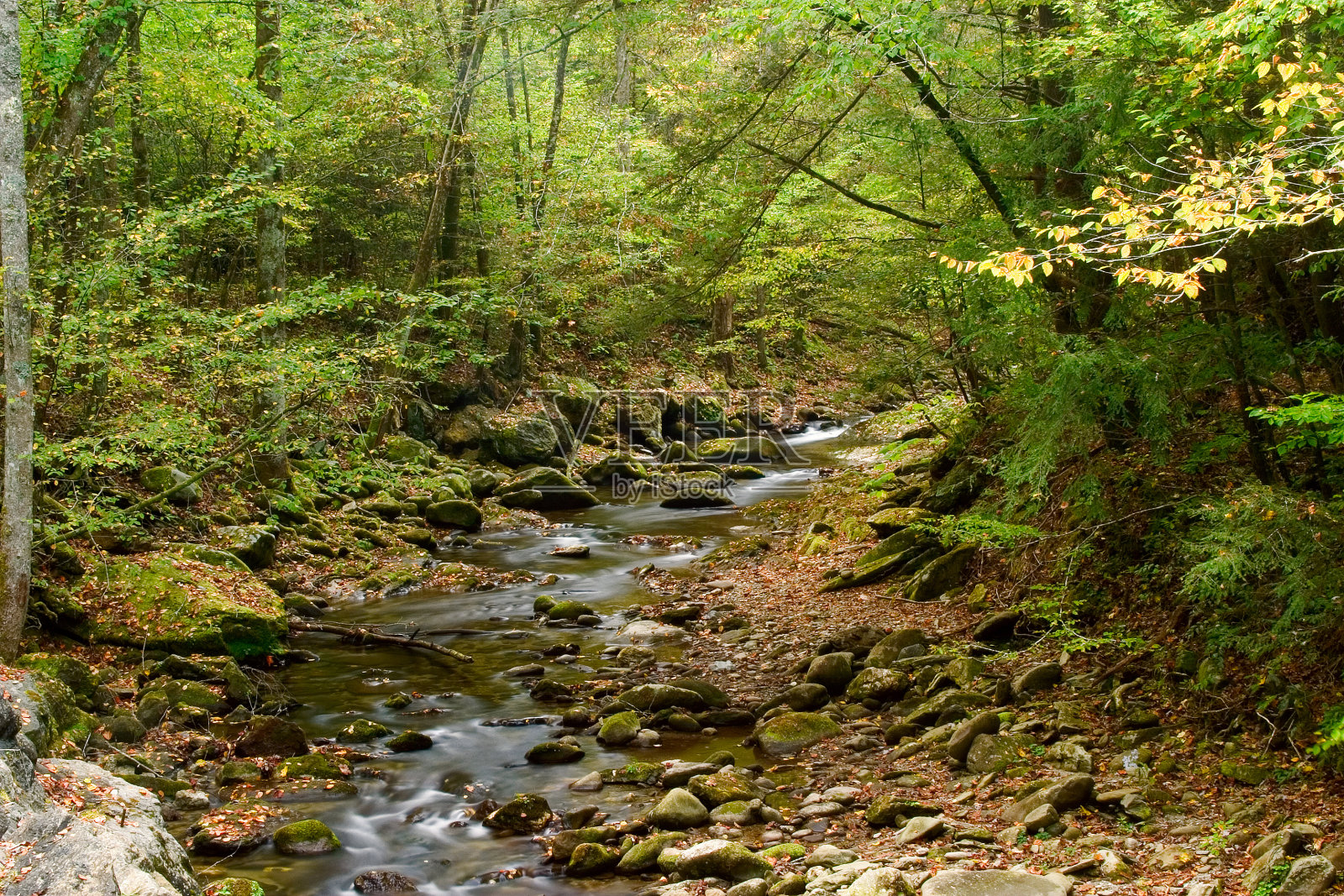 大烟山咆哮的叉汽车小道溪流照片摄影图片