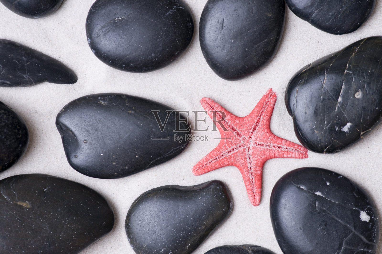 红色的海星和黑色的鹅卵石照片摄影图片