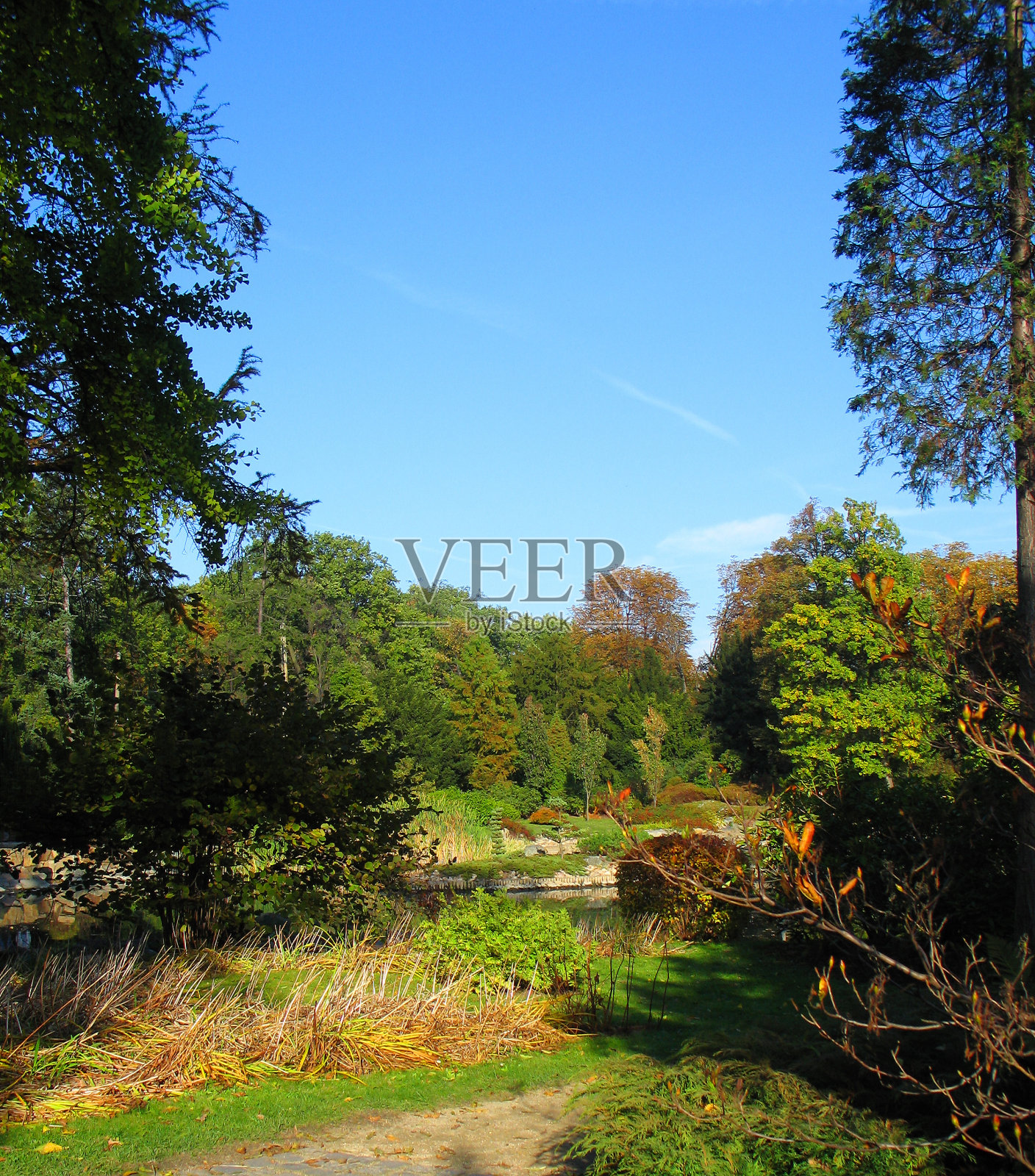 秋天在公园照片摄影图片