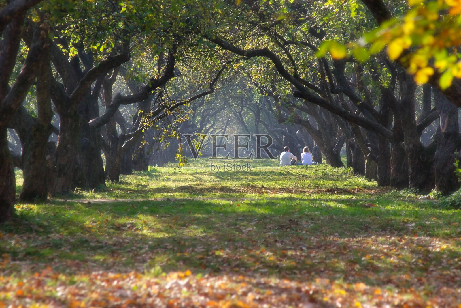 迷人的一对穿着白色衣服照片摄影图片