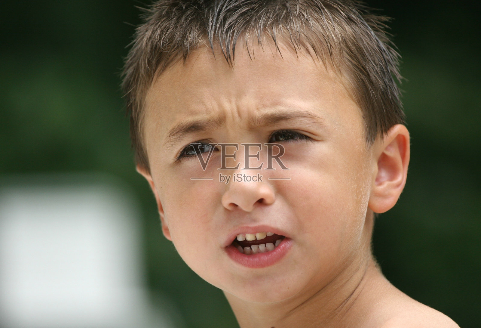 好奇的照片摄影图片