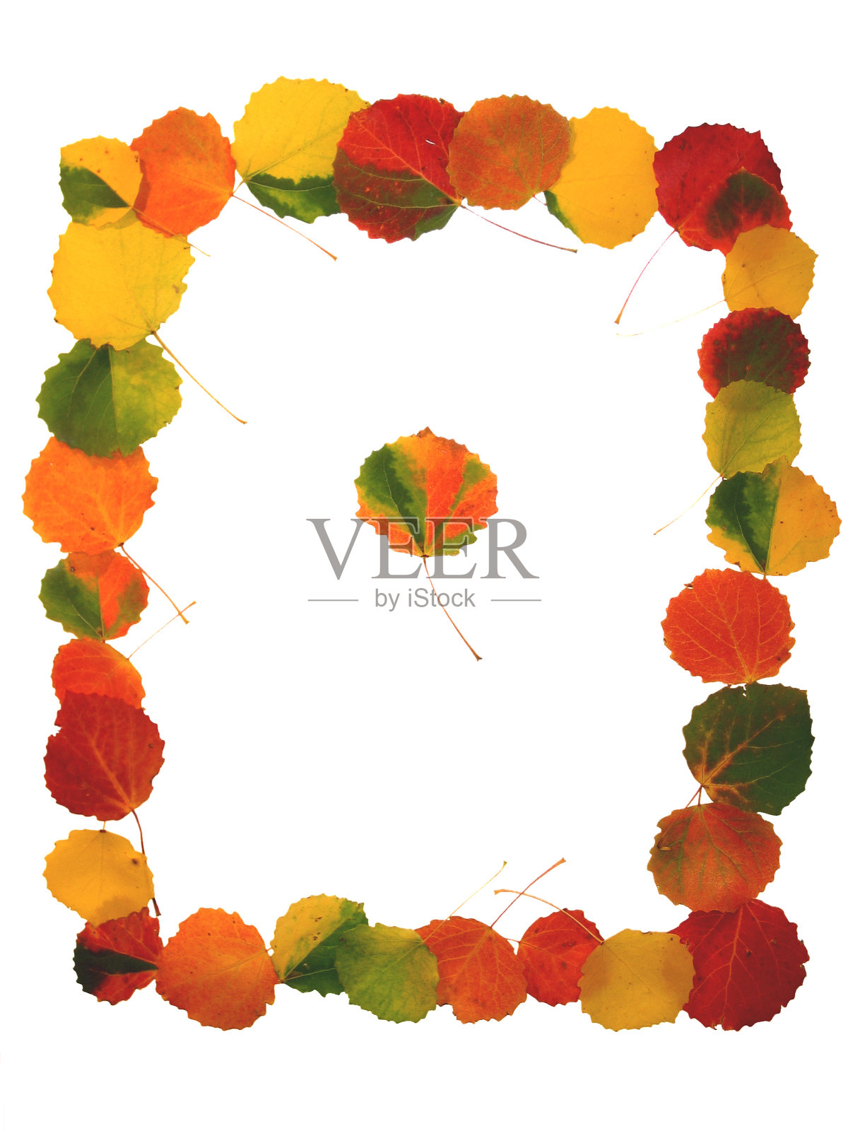 秋天的问候插画图片素材