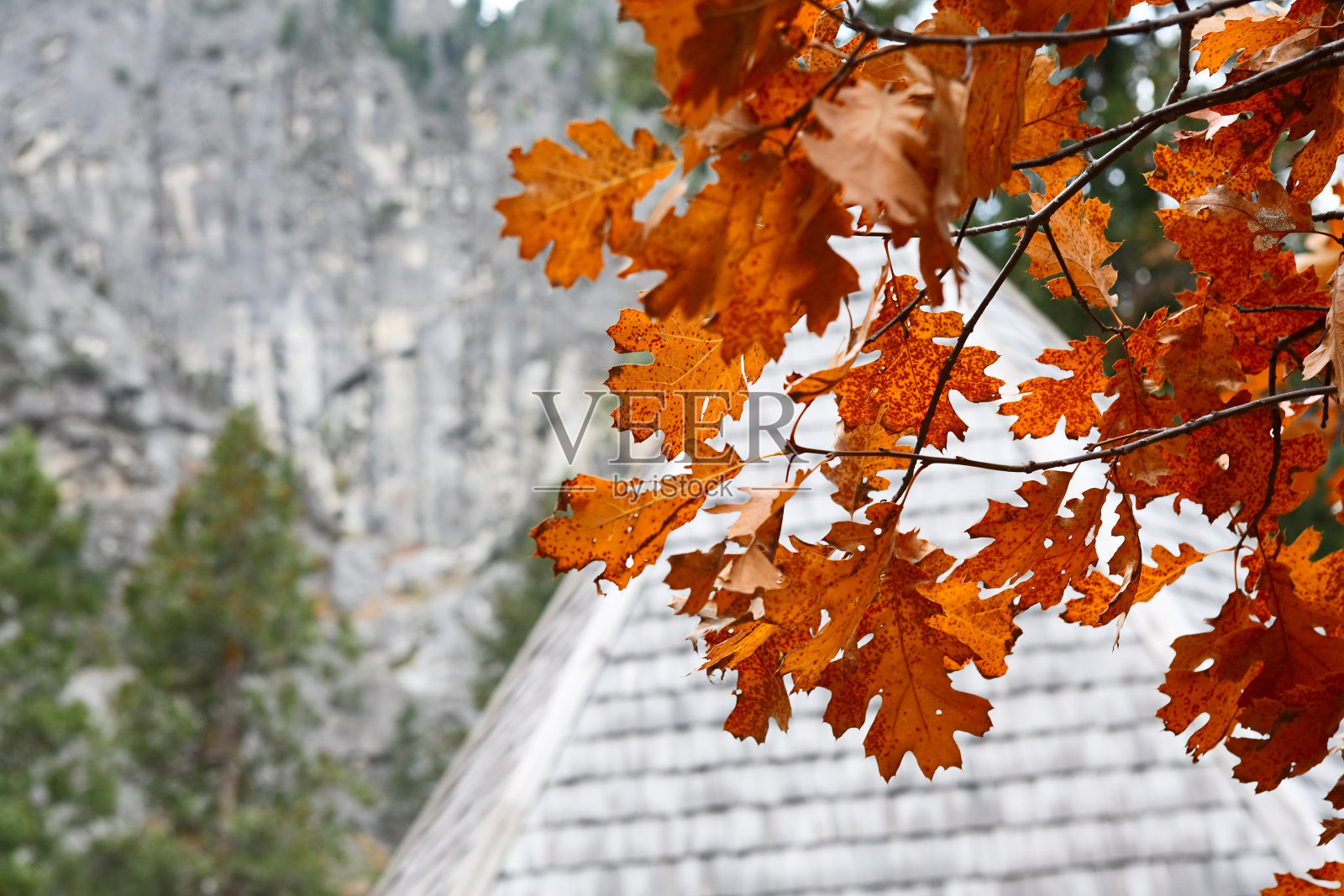 未邮寄的秋季信件照片摄影图片