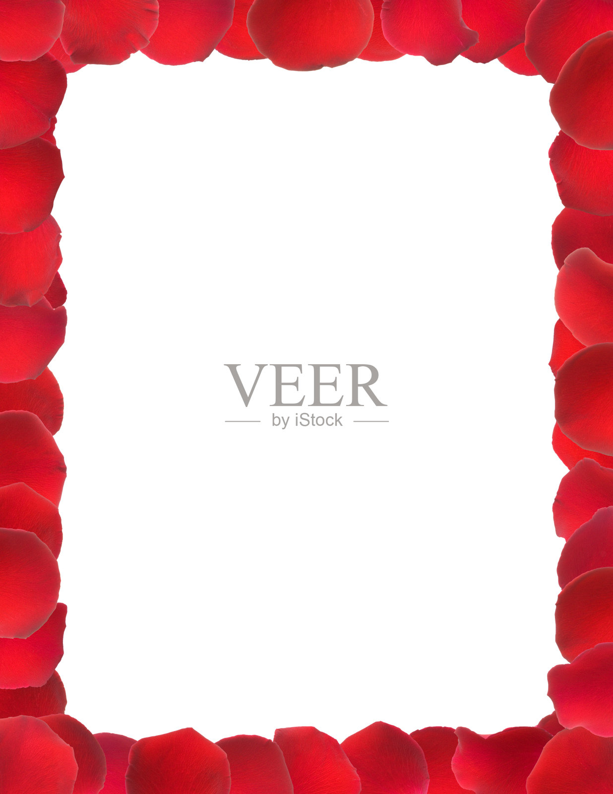 玫瑰花瓣框架照片摄影图片