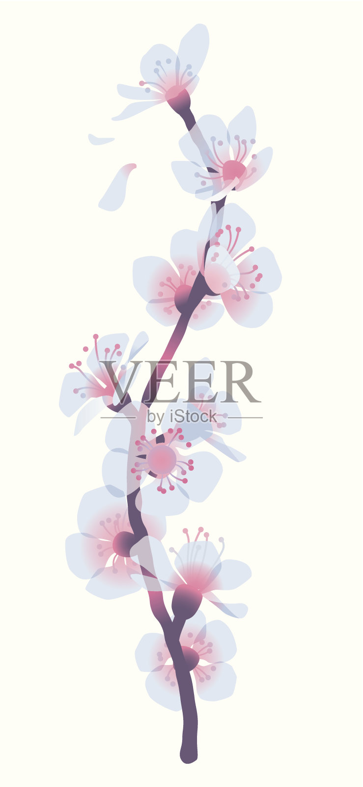 一束杏花插画图片素材