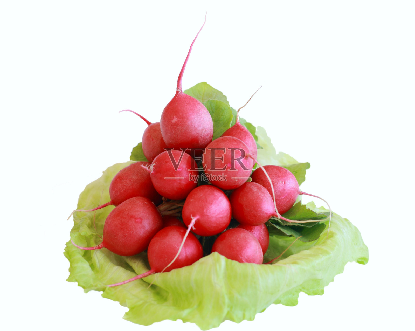 萝卜照片摄影图片