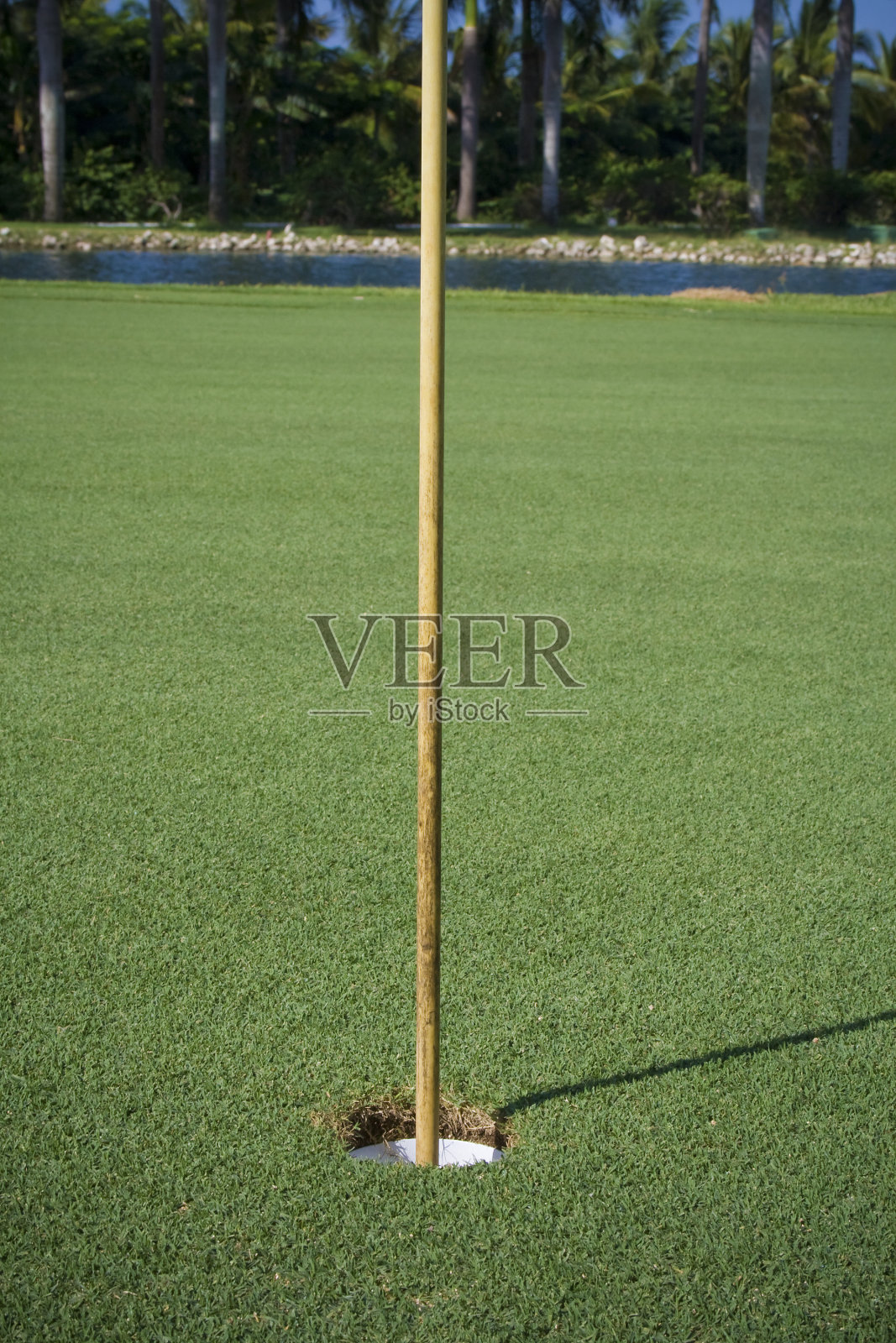高尔夫球洞照片摄影图片