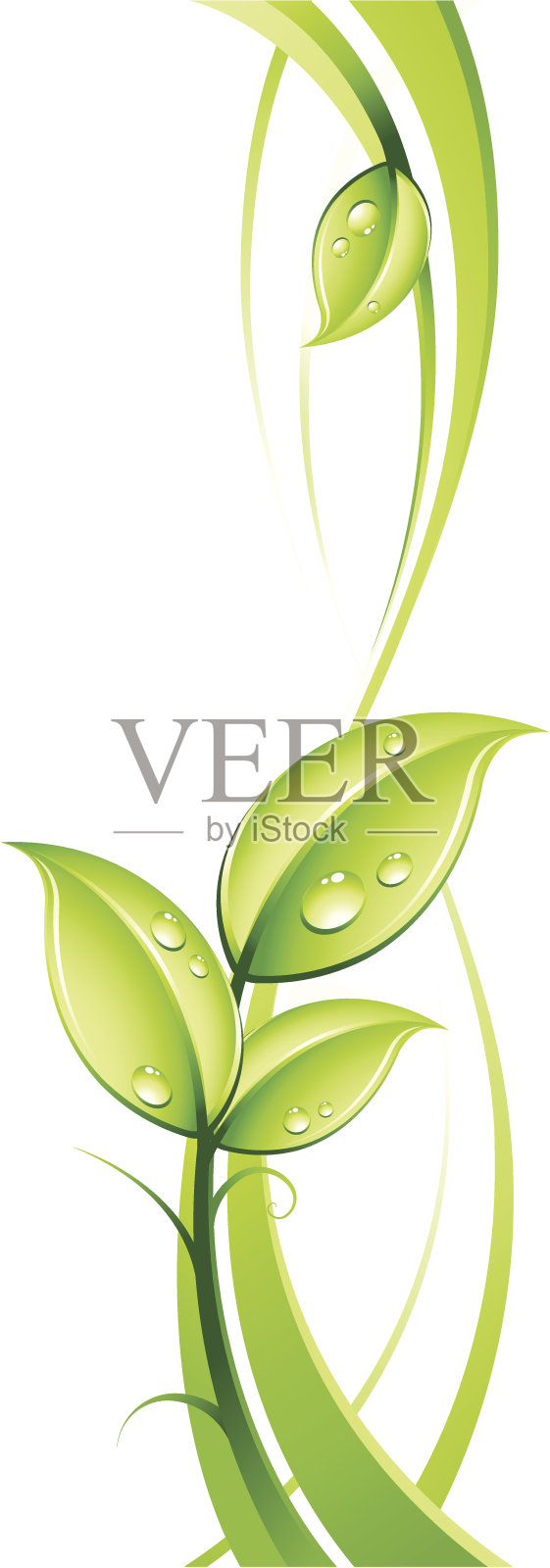 抽象背景和叶子设计元素图片