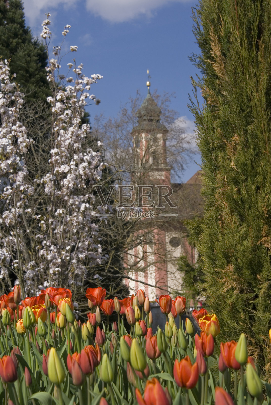 城堡和郁金香照片摄影图片