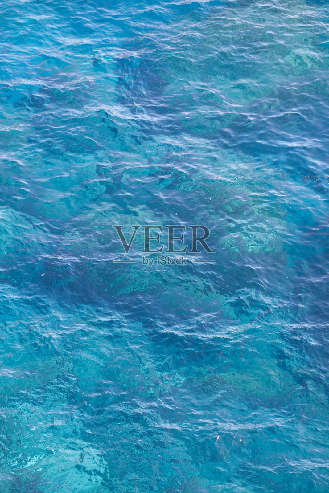 海照片摄影图片