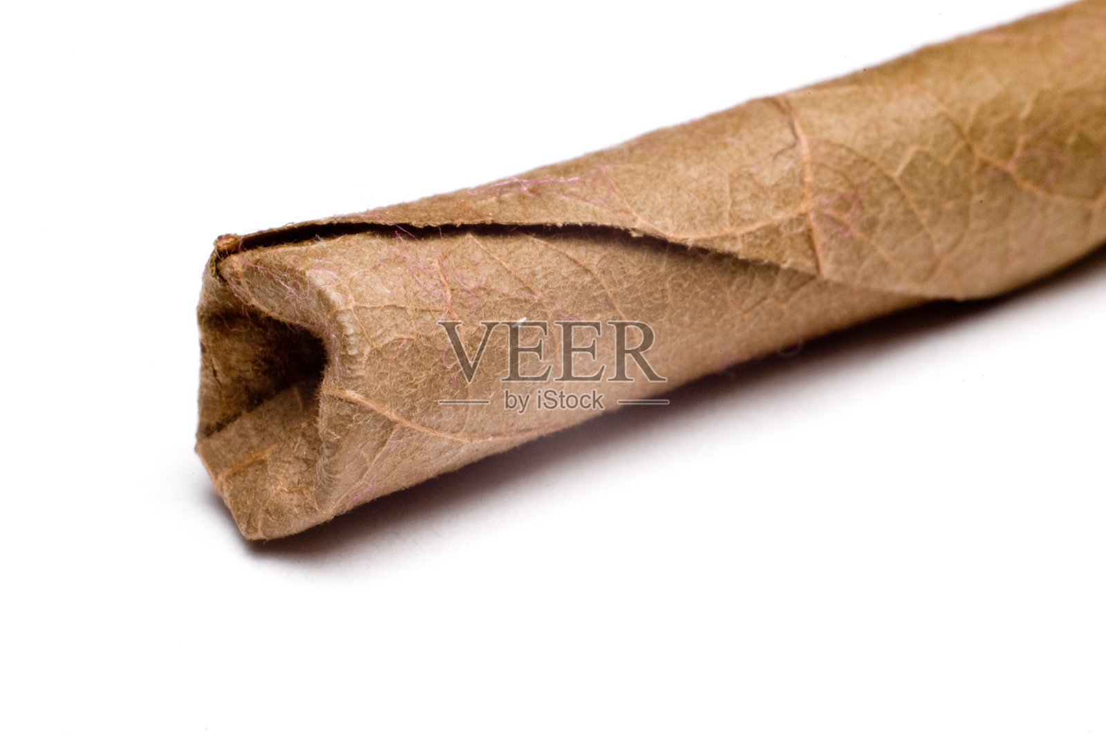 的细节biddie照片摄影图片