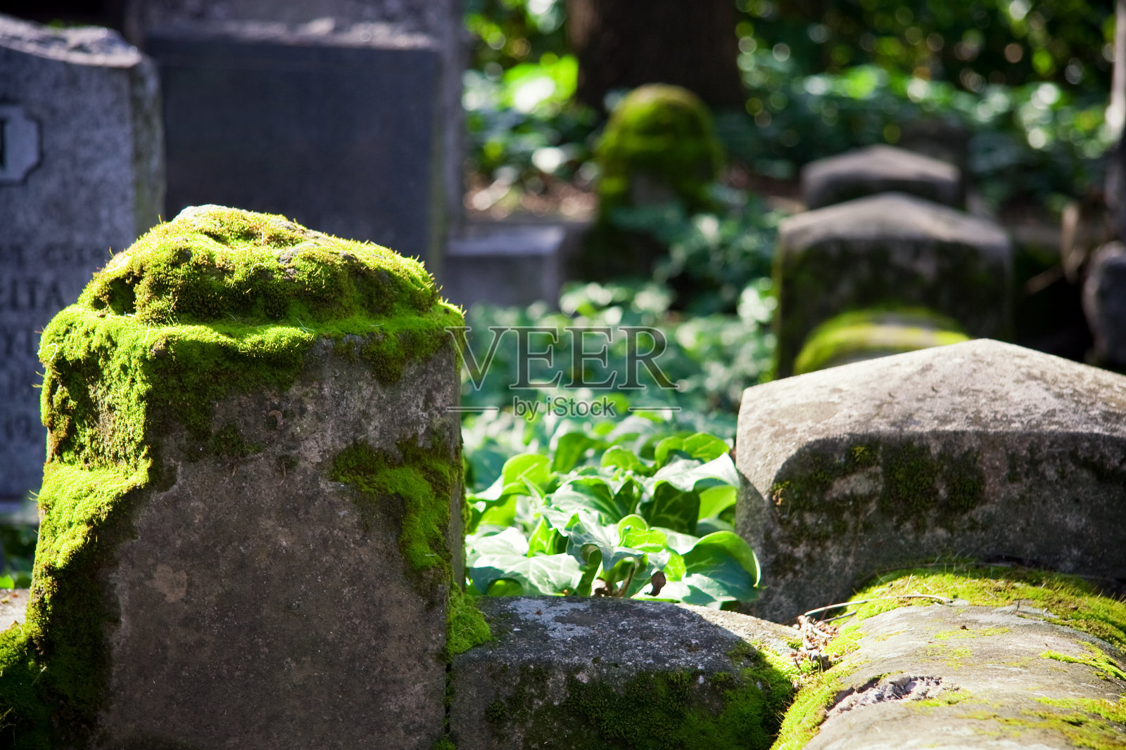 墓地上长满青苔的水泥柱子照片摄影图片
