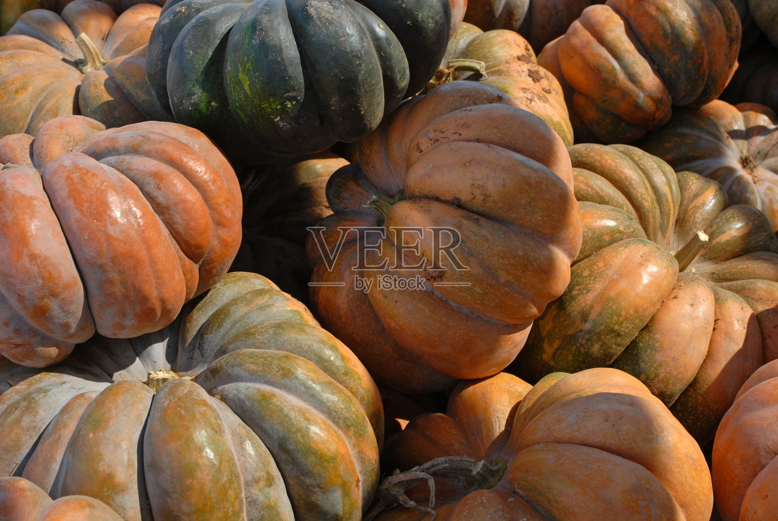 五彩缤纷的南瓜照片摄影图片