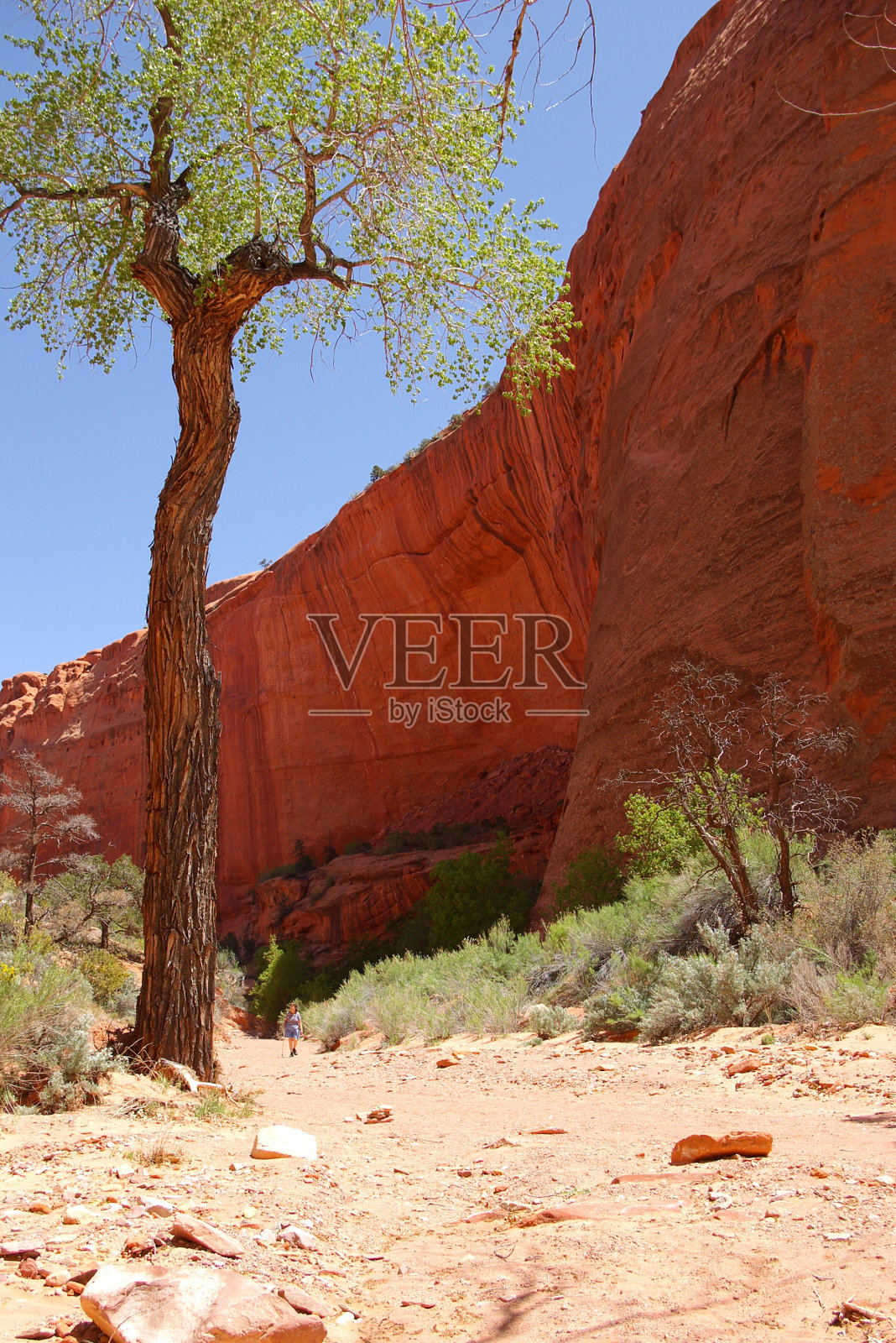 峡谷徒步旅行者照片摄影图片