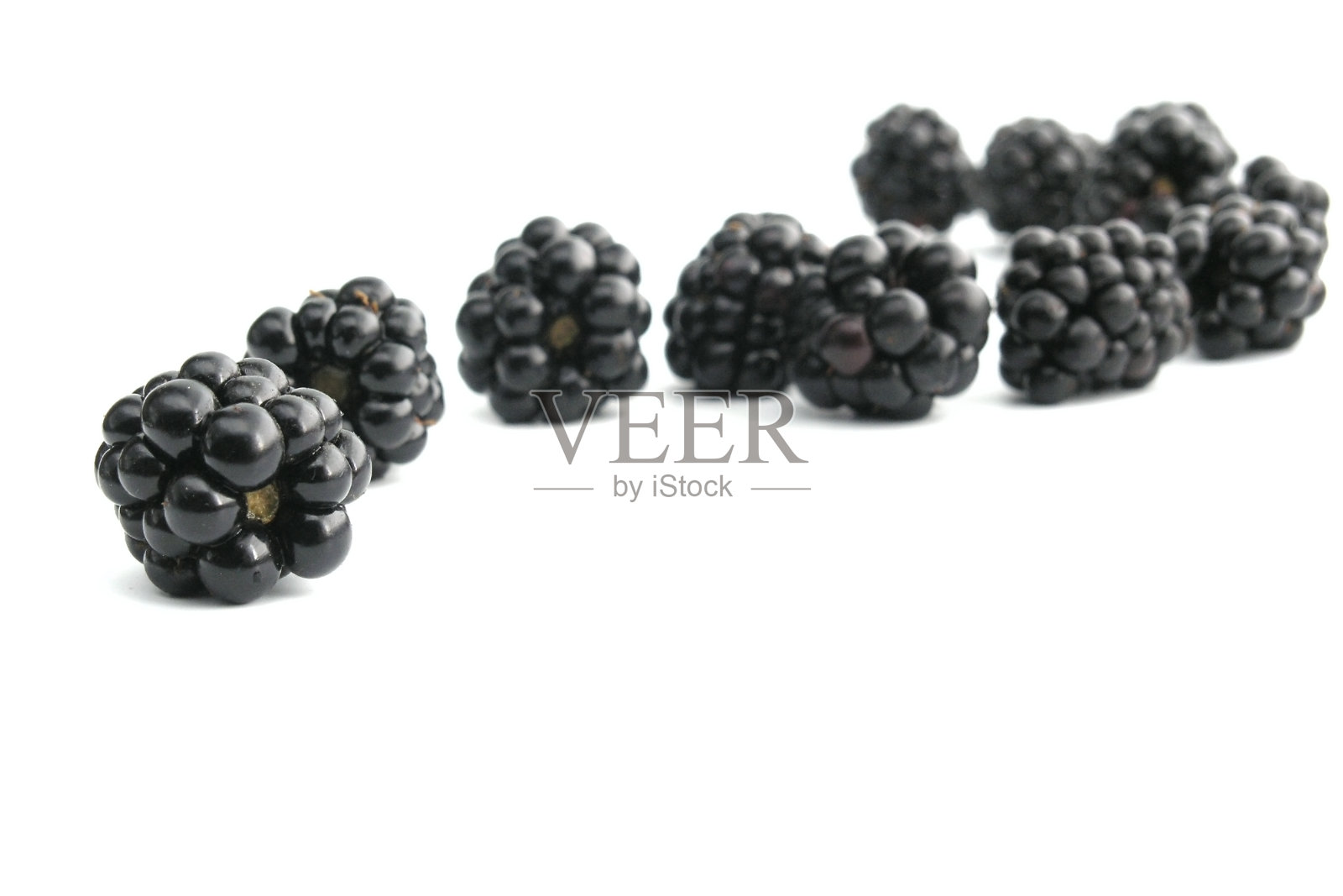 黑莓照片摄影图片