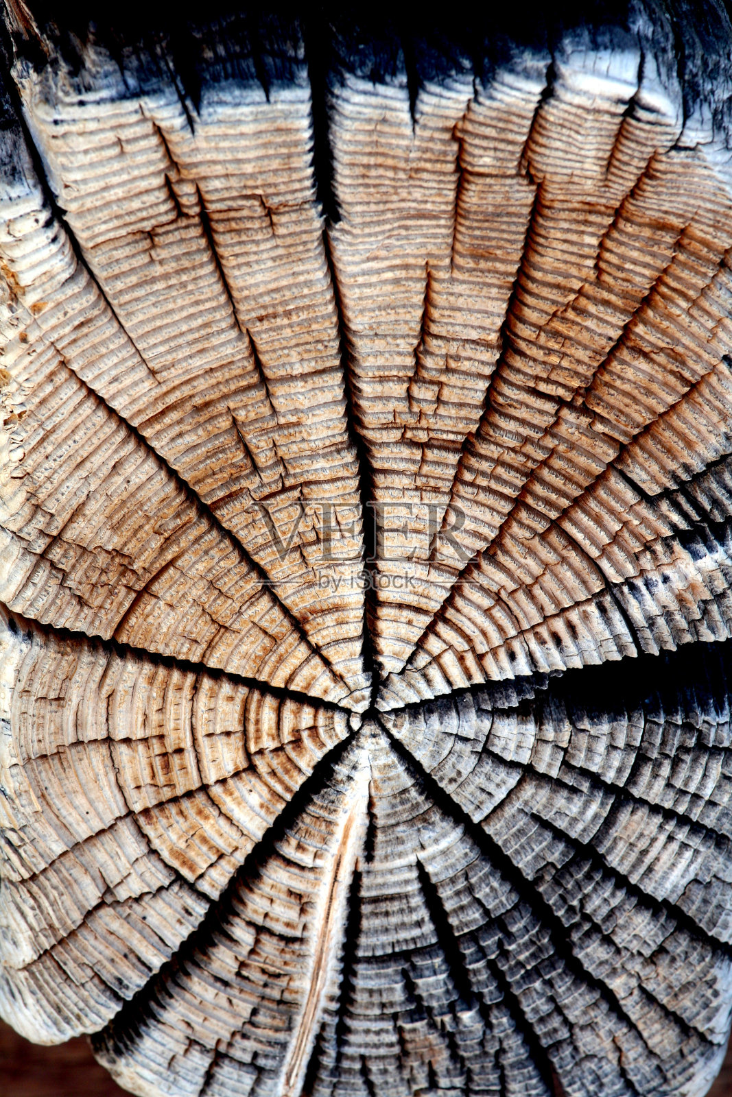 木制背景照片摄影图片