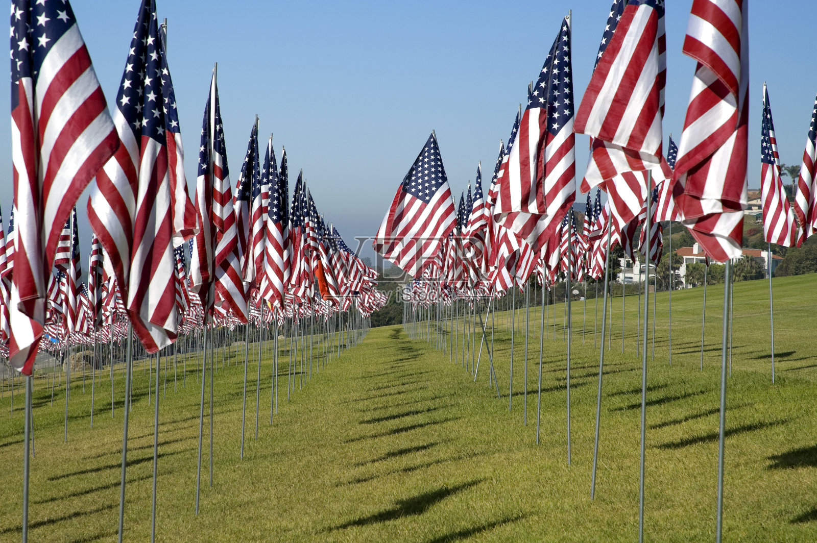 数百面美国国旗照片摄影图片