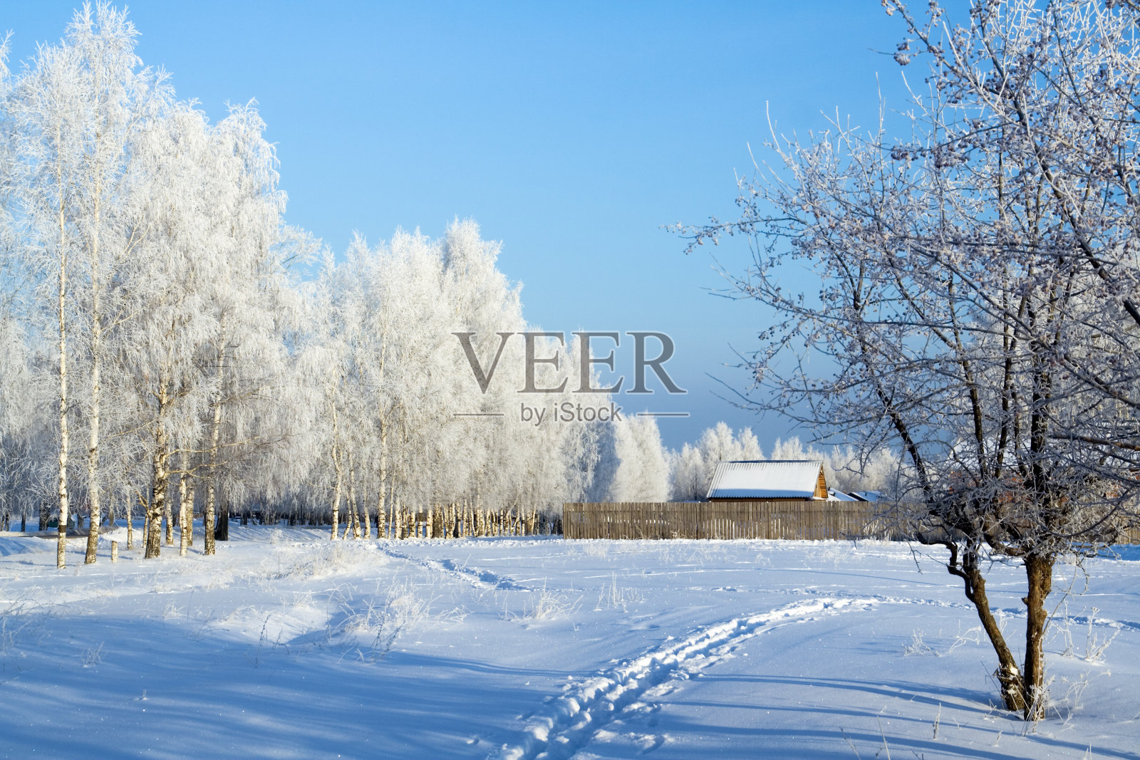 农村冬季景观照片摄影图片