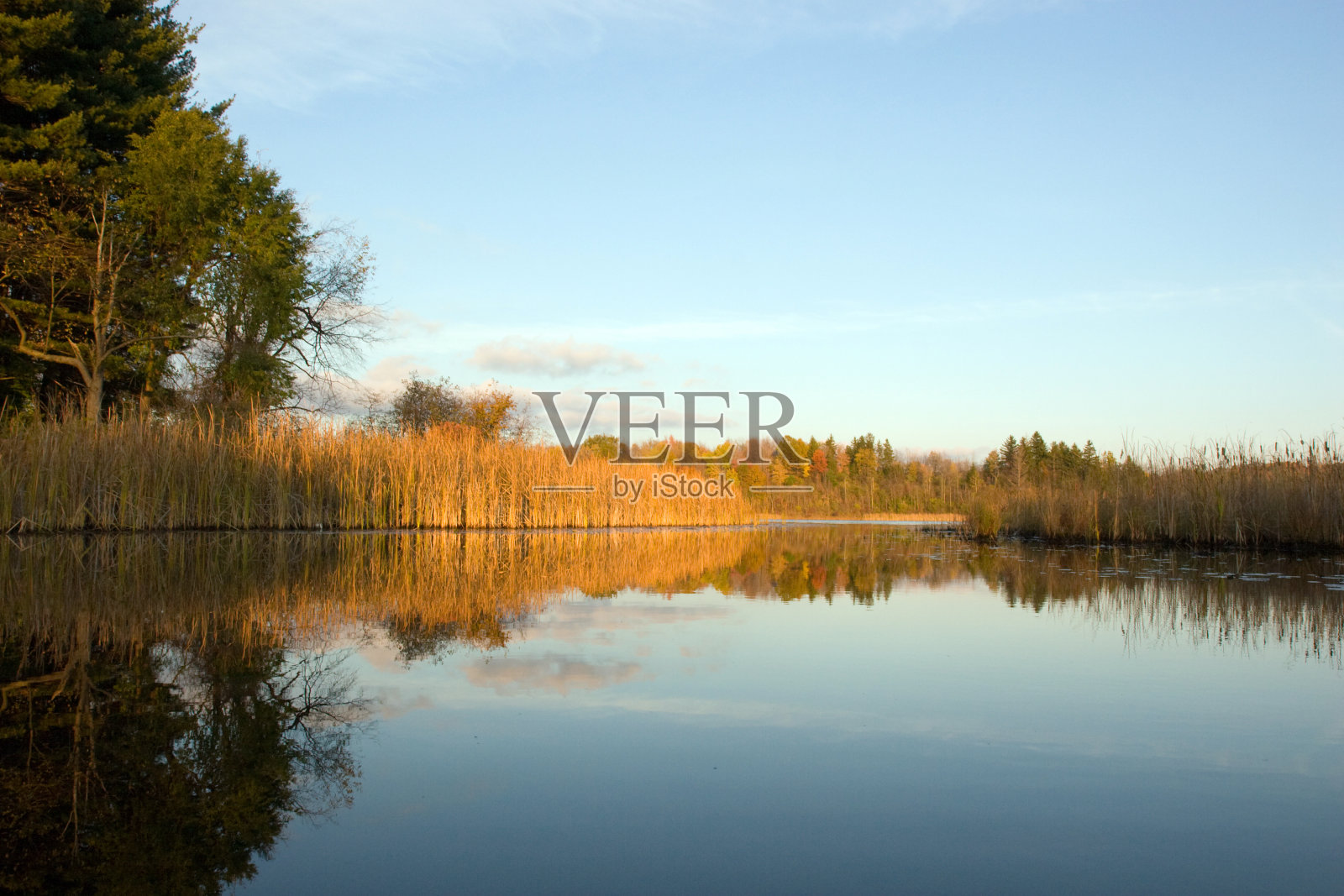 一个宁静的秋季池塘的单反相机图像照片摄影图片