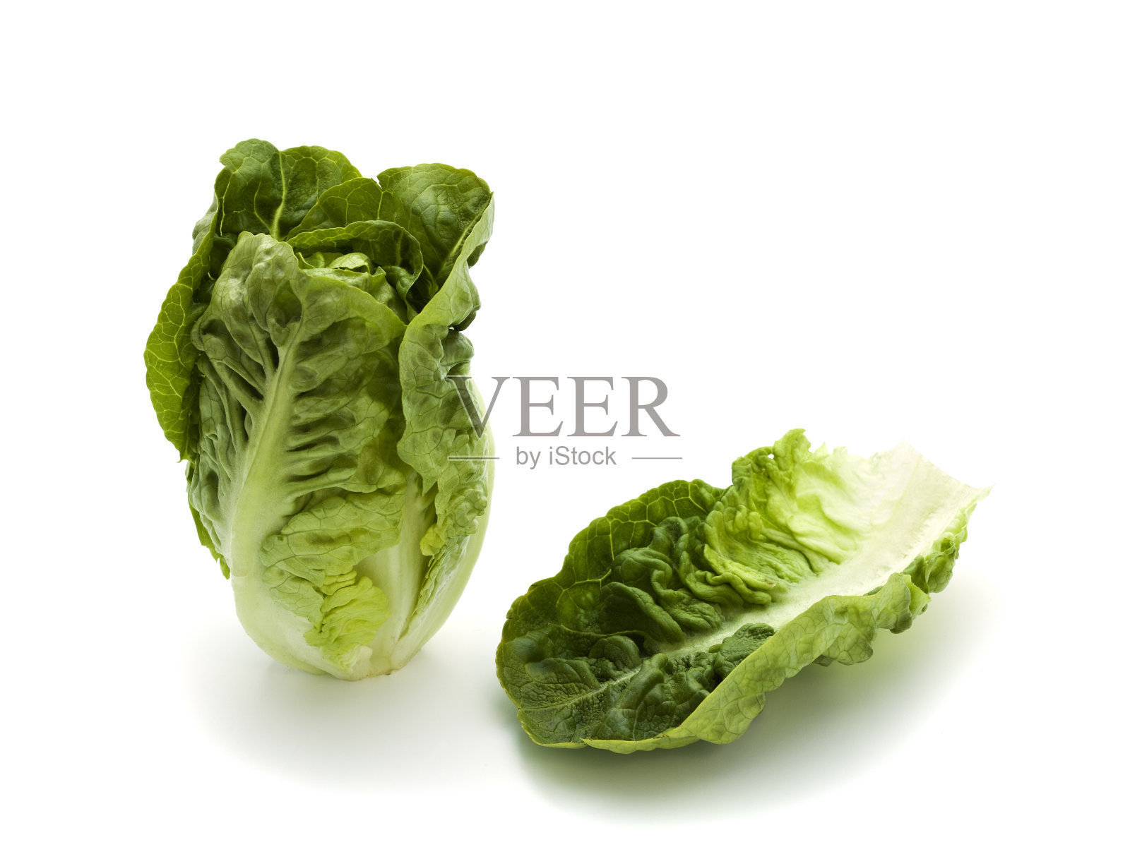 长叶莴苣和叶子照片摄影图片