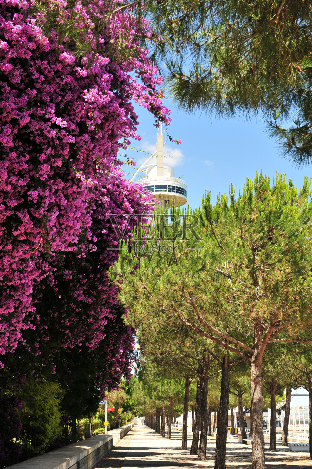 人行道照片摄影图片