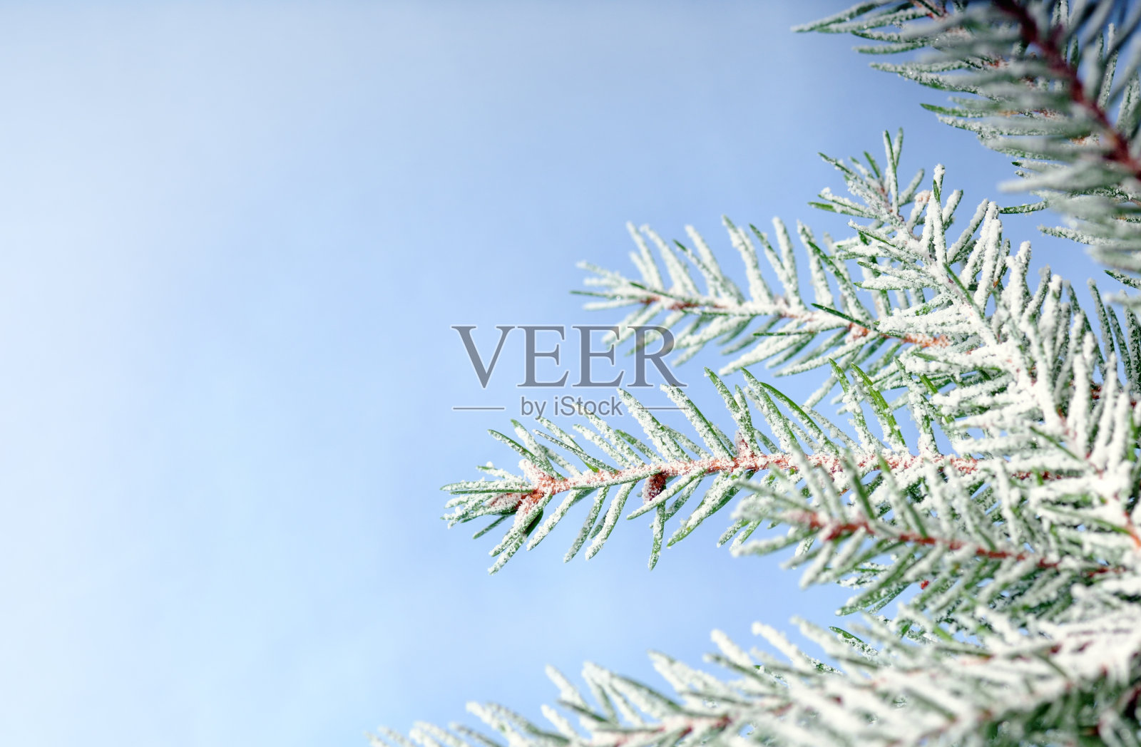 冬天的背景照片摄影图片