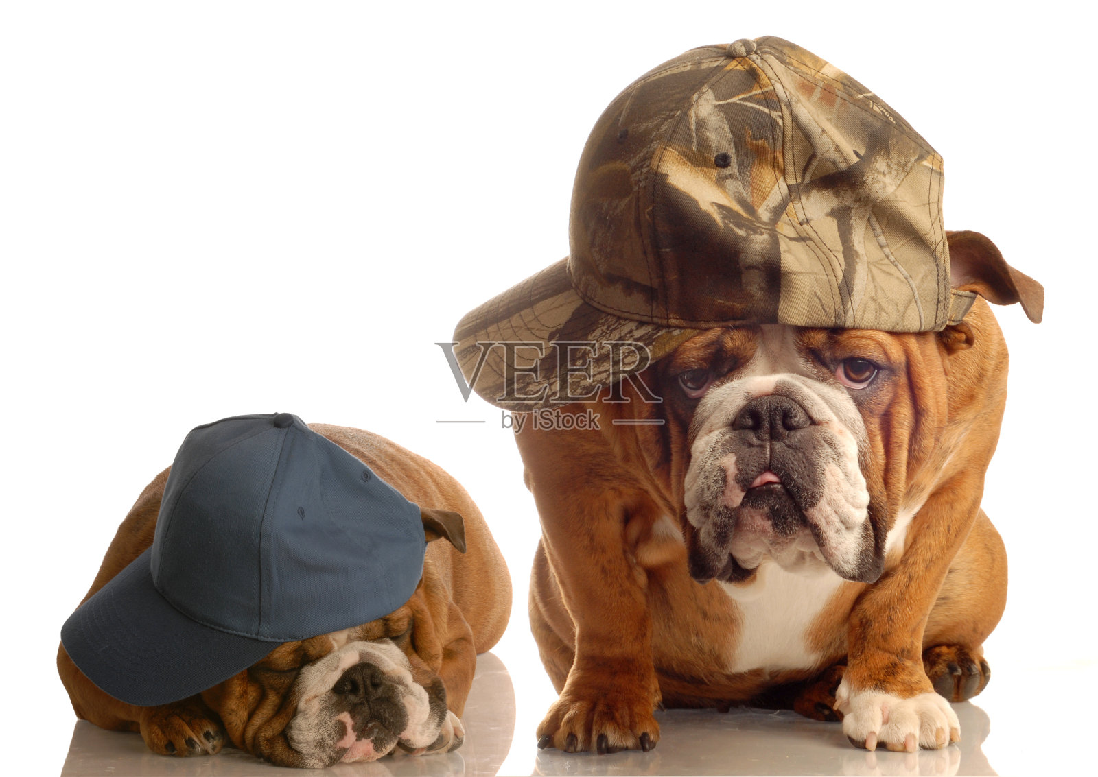 我和我爸爸照片摄影图片