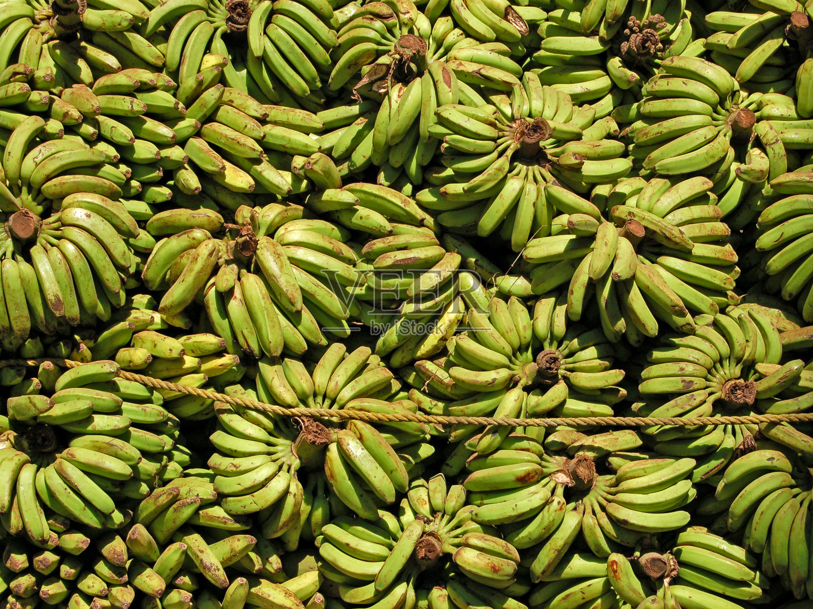 香蕉照片摄影图片