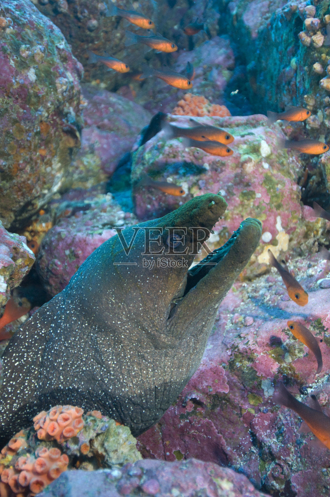 发现emoray照片摄影图片