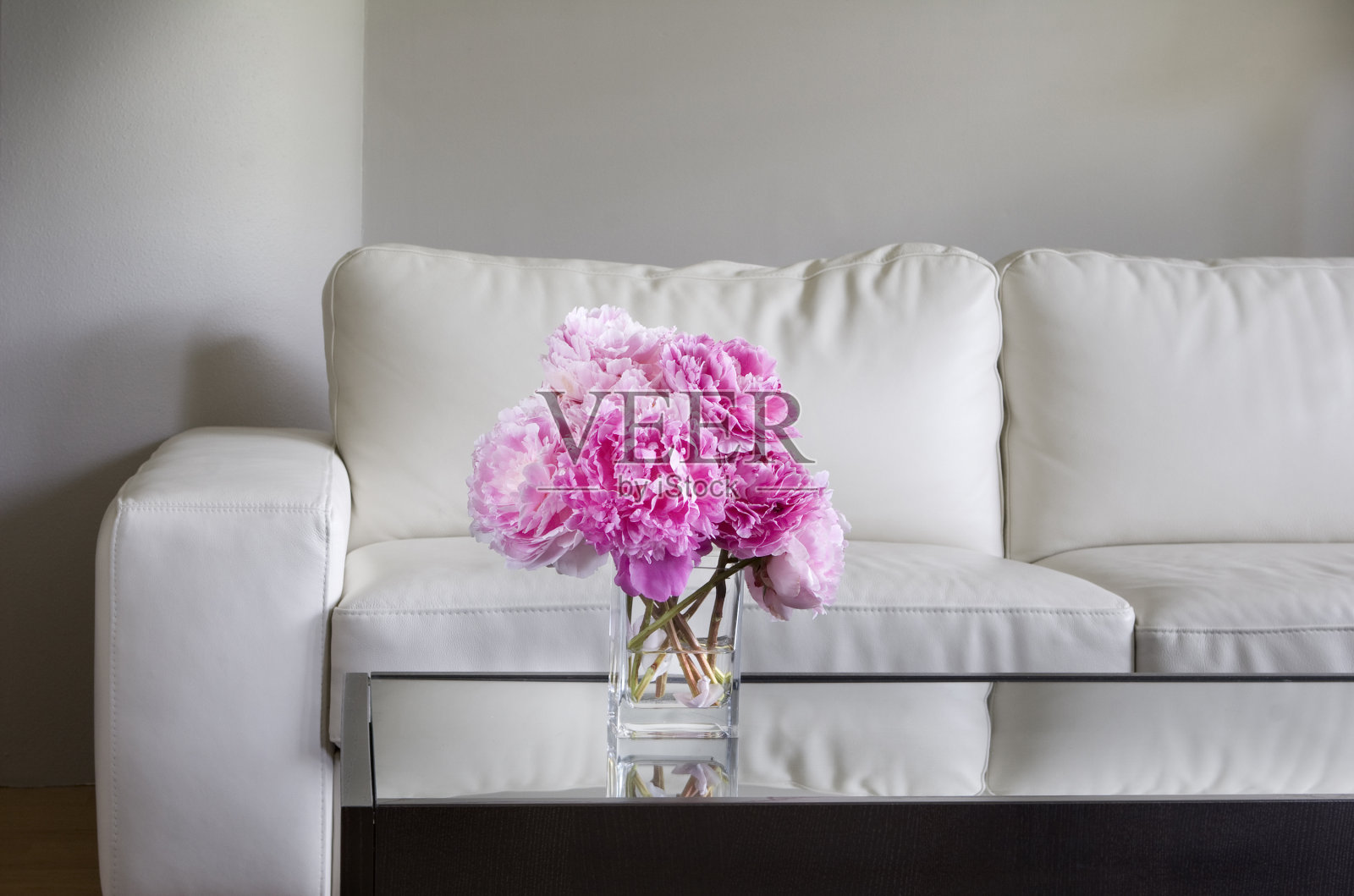 白色的客厅里放着粉红色的牡丹照片摄影图片