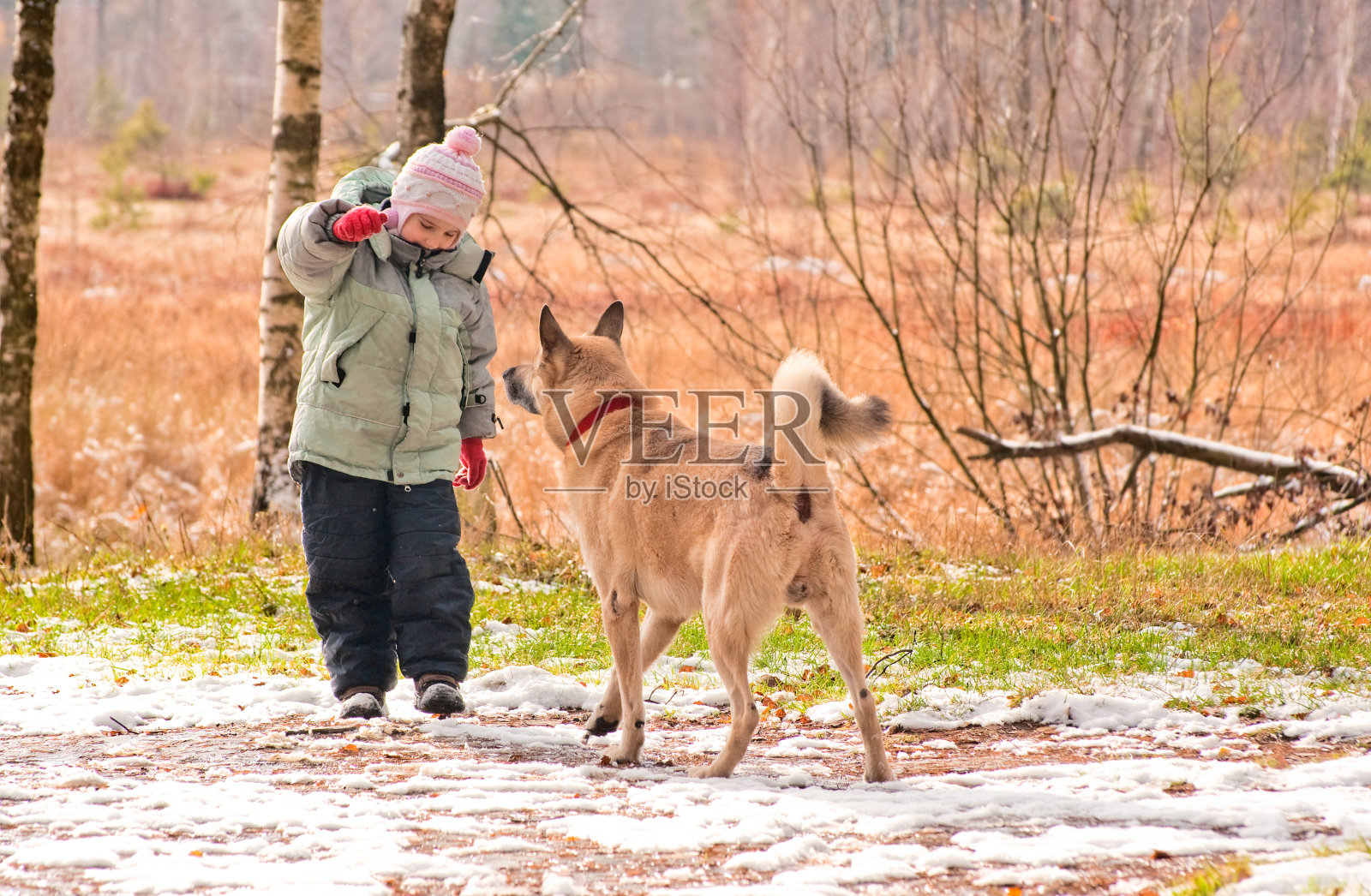 第一场雪。小女孩和她的狗玩。照片摄影图片