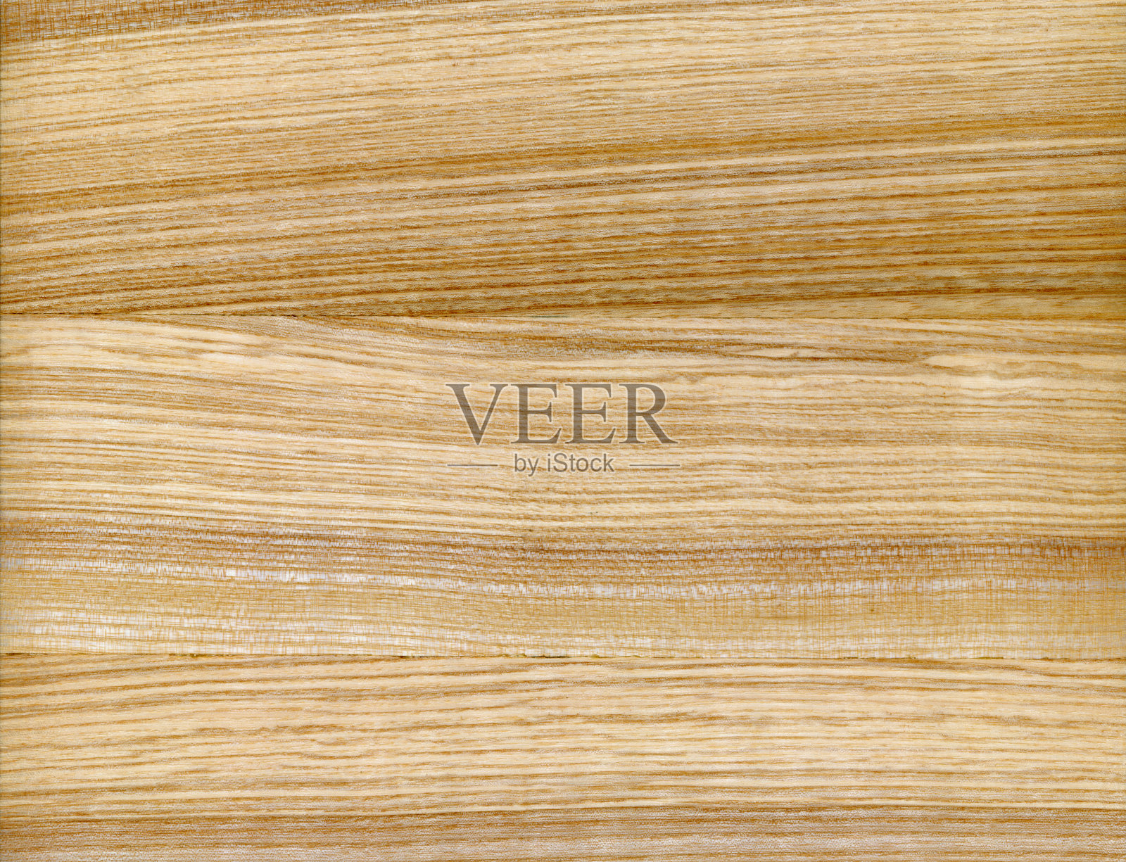 木质表面。灰树。照片摄影图片