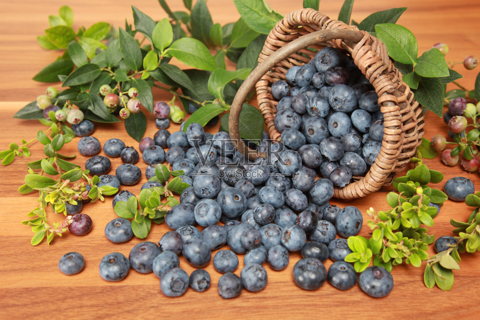 蓝莓照片摄影图片