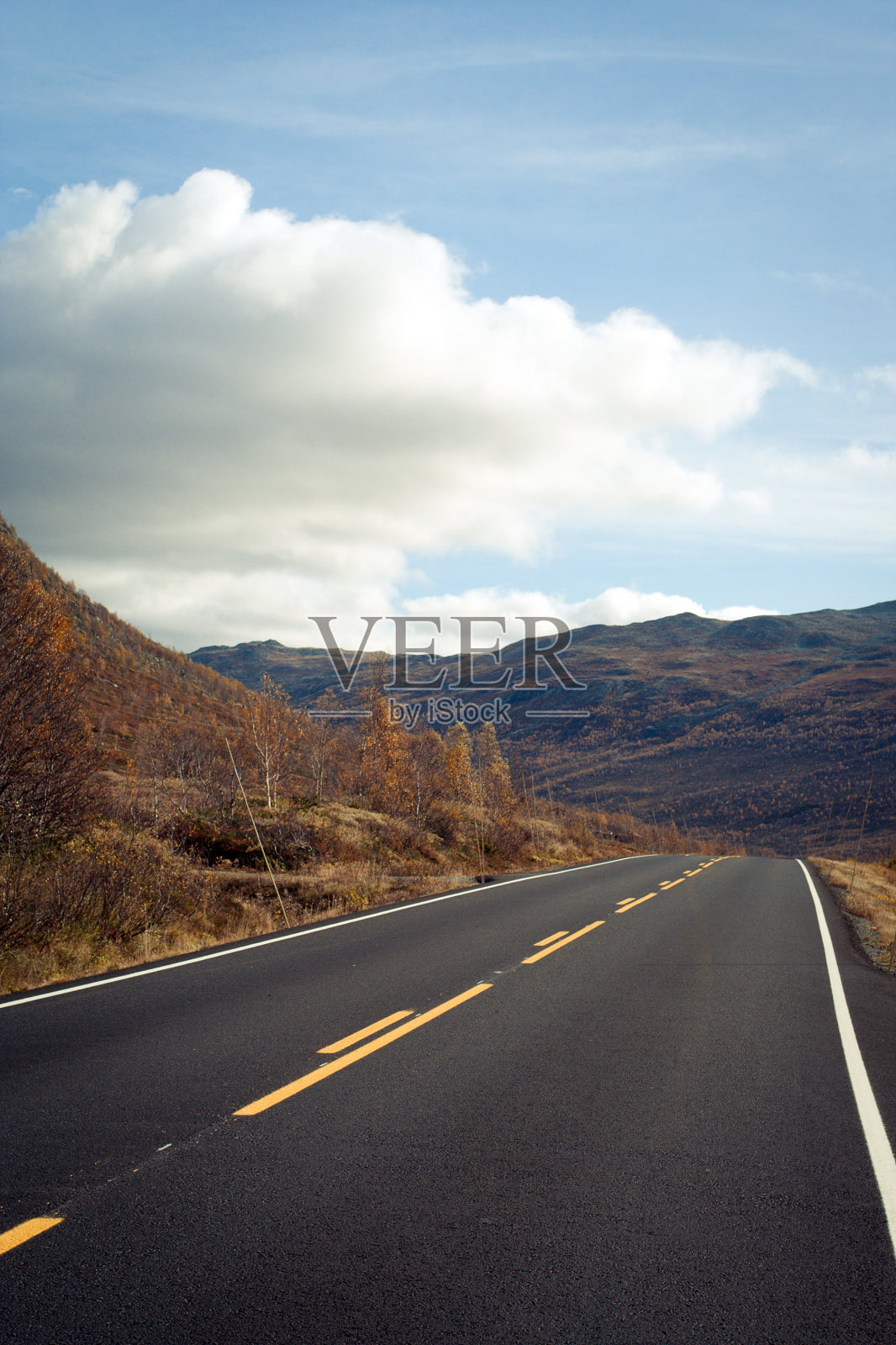 秋天的道路照片摄影图片